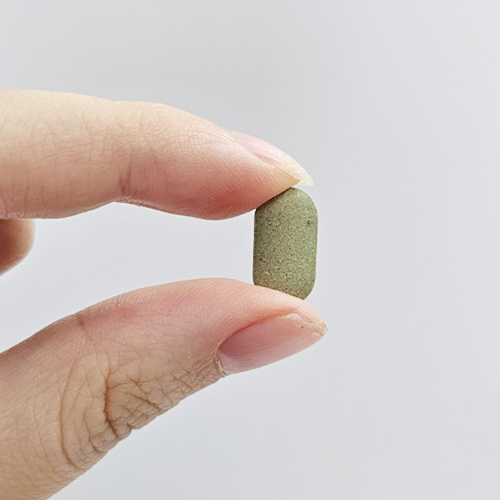 여주바나바 플러스정 1통 500mg x 90정(45g)